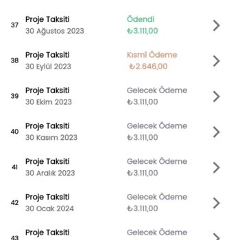 Birevim Borç Çıkarılması Ödenen Paranın Ödenmedi Gösterilmesi...