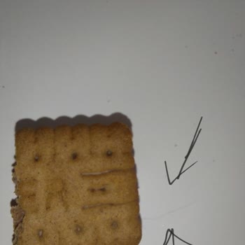 Ülker İkram Bisküvisinden Kıl Çıktı