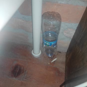 Kayserkaya Dağ Evleri Oda Ve Banyo Temizliği Sorunu!