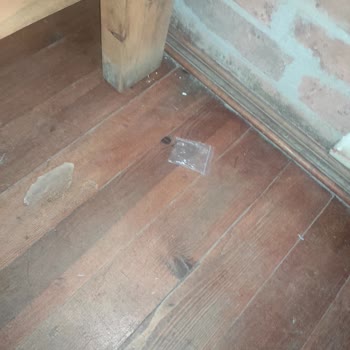 Kayserkaya Dağ Evleri Oda Ve Banyo Temizliği Sorunu!