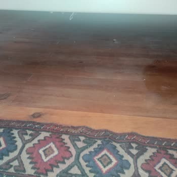 Kayserkaya Dağ Evleri Oda Ve Banyo Temizliği Sorunu!