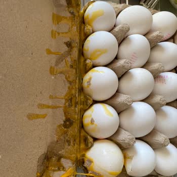 Şok Market Online Alışveriş Sistemi Tam Bir Hayal Kırıklığı!