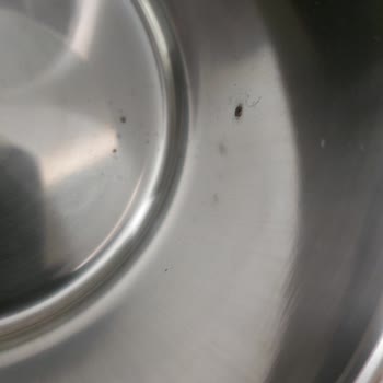 Penguen Home Paslanan Paslanmaz Çelik Termos