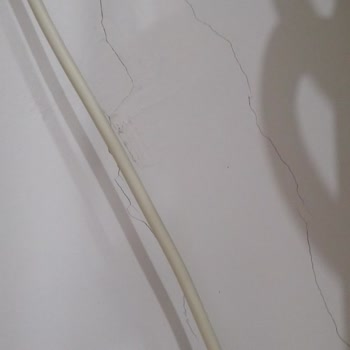 DASK (Doğal Afet Sigortaları Kurumu) Depremde Hasar Görmüş Ev