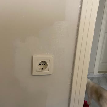 Marshall Şifon Rengi Boya Farklı Çıktı