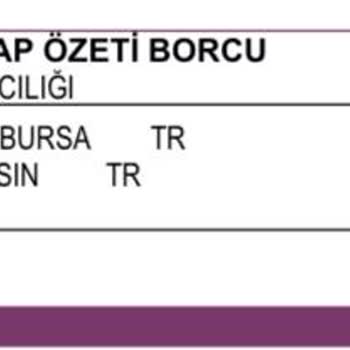 Yapı Kredi Bankası Kart Aidatı