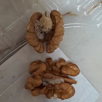 Trendyol Hızlı Market Mopaş Acıbadem-2 Kurtlu Ceviz Gönderimi