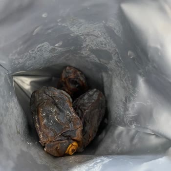 Gratis Otto Marka Hurma Kurtlu Çıktı