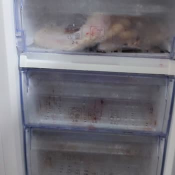 Beko Derin Dondurucu Arızası