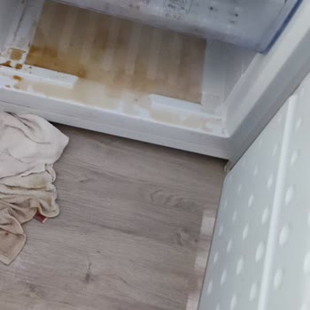 Beko Derin Dondurucu Arızası