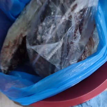 Beko Derin Dondurucu Arızası