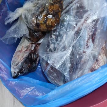 Beko Derin Dondurucu Arızası