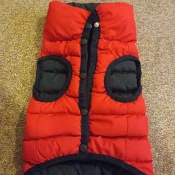 Migros Düğmeleri Kopuk Ve Lekeli Bir Evcil Hayvan Montu Gönderdi