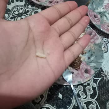 Tatbak Gıda Pasta İçinde Çıkan Tuhaf Şeyler