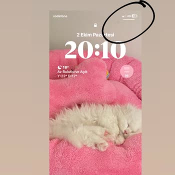 Vodafone Şebeke Sorunum Asla Çözülmüyor