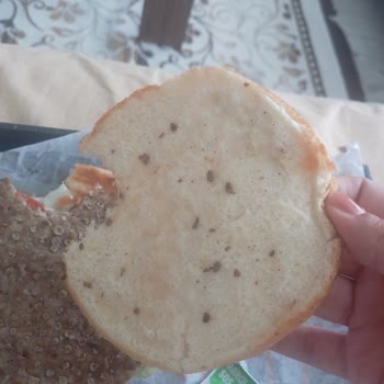 Burger King Burger Kong Bozuk Ve Bozuk Hamburger Eti