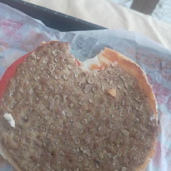 Burger King Burger Kong Bozuk Ve Bozuk Hamburger Eti