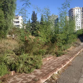 Çukurova Belediyesi İlgisiz Duyarsız Belediyecilik