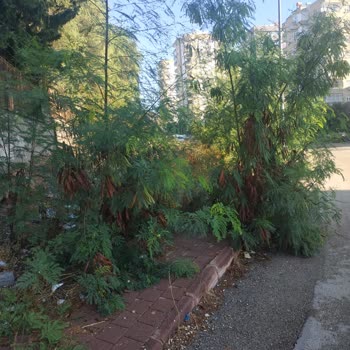 Çukurova Belediyesi İlgisiz Duyarsız Belediyecilik