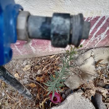 Antalya Muratpaşa Belediyesi Tapu Sorunu Ve Su Aboneliği