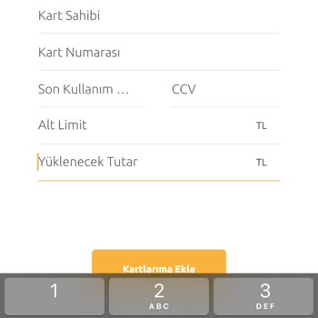 PTT HGS Kredi Kartı Talimatı Kaydetme Sorunu