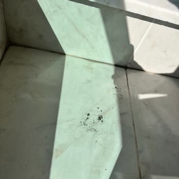 Konya Büyükşehir Belediyesi Filtresiz Bacalı Üretim Tesisi