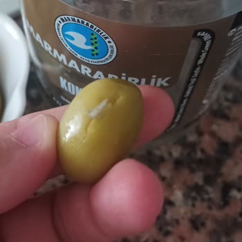 MarmaraBirlik Zeytinin İçinden Plastik Parçası Çıktı