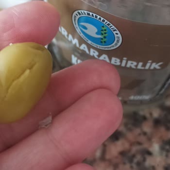 MarmaraBirlik Zeytinin İçinden Plastik Parçası Çıktı