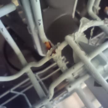 LG Marka Bulaşık Makinesi Sepetinde Oluşan Paslanma