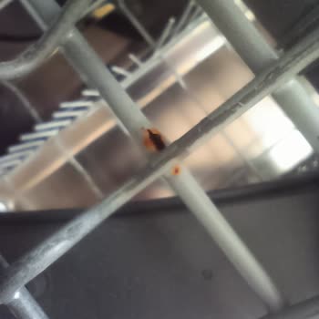 LG Marka Bulaşık Makinesi Sepetinde Oluşan Paslanma