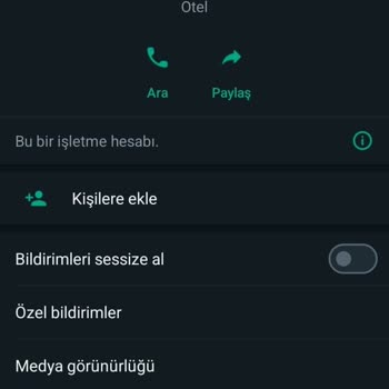 WhatsApp Tanımadığım Yurt Dışında Numara