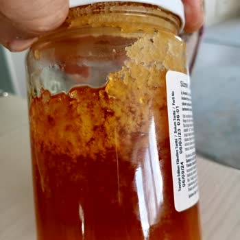 Binboğa Kooperatif Bali Şekere Dönüştü