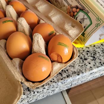 Migros Hemen Kırık Yumurta Değişimi