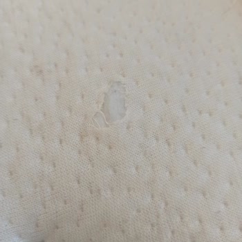 Bambi Yatak Servisi Sorunları