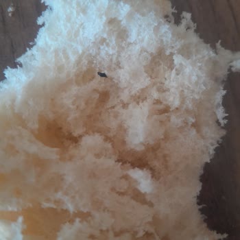 A101 Den Alınan Ekmek İçinde Çıkan Siyah Küçük Şeyler