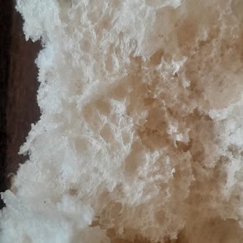 A101 Den Alınan Ekmek İçinde Çıkan Siyah Küçük Şeyler