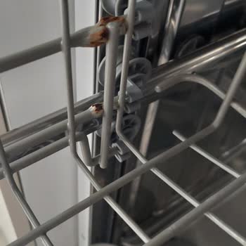 Teka Dw 605 S Bulaşık Makinesi Sepetlerin Küflenmesi