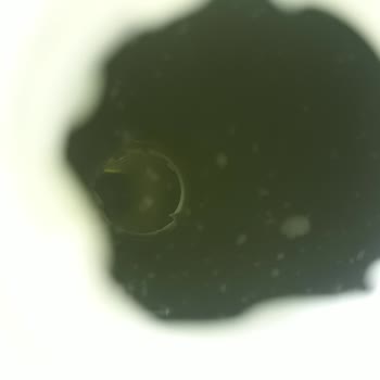 BİM Kapalı Paketteki Sut Bozuk