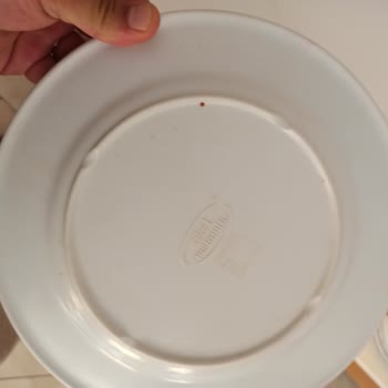 Side Legend Hotel Hizmet Aldığım Otel Hakkında