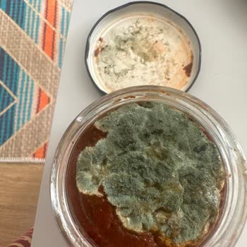Yemeksepeti Marketi Küflenmiş Ürün