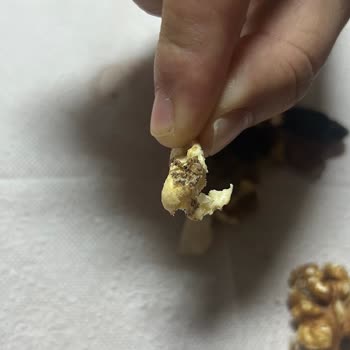 Çerezya Çiğ Kokteyl