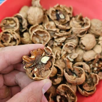 Migros Çürük Ürün Satışı