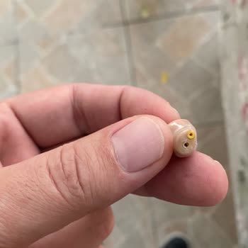 Widex Filtre Parça Sorunu