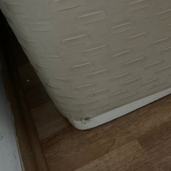 Ankara Bade Nakliyat Taşımacılık Olduğunu İddia Ediyor Ama Taşıyamıyor!