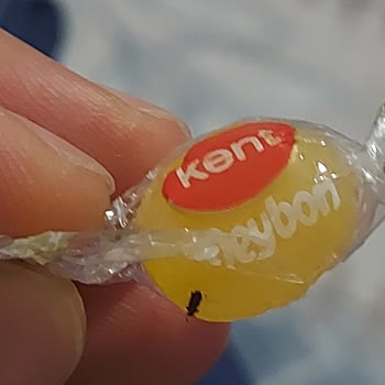 Kent Şekerleri İçinden Yabancı Madde Çıkan Ürün