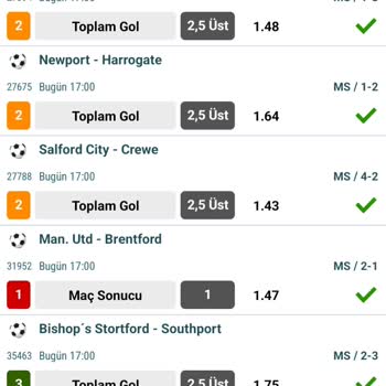 Nesine Sistem 6.7.8 Hesaplama Hatası