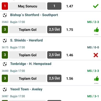 Nesine Sistem 6.7.8 Hesaplama Hatası