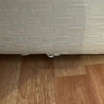 Bade Nakliyat (Ankara) Mağduriyeti