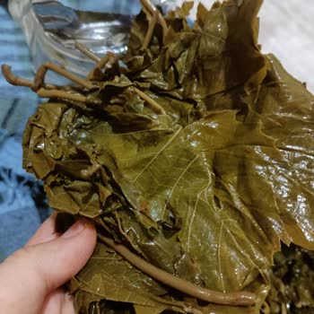 Migros'tan Aldığım Yurtalan Zade Salamura Asma Yaprak Paramparçaydı