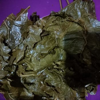Migros'tan Aldığım Yurtalan Zade Salamura Asma Yaprak Paramparçaydı